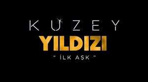 Kuzey Yıldızı İlk Aşk 19.Bölüm izle 1 Şubat 2020