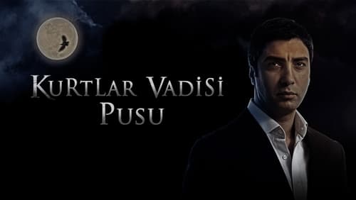 Kurtlar Vadisi Pusu 256.Bölüm izle