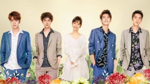 Meteor Garden 1.Sezon 11.Bölüm izle