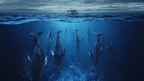 The Swarm 1.Sezon 8.Bölüm izle