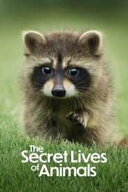 The Secret Lives of Animals izle 