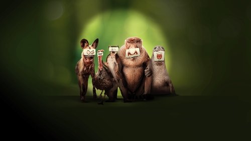 Underdogs 1.Sezon 5.Bölüm Türkçe Dublaj izle